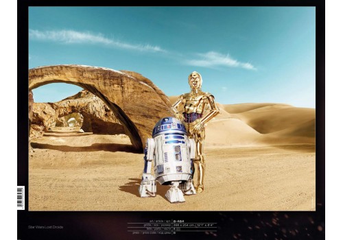 Star Wars Lost Droids