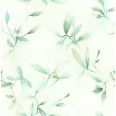 Jasmin