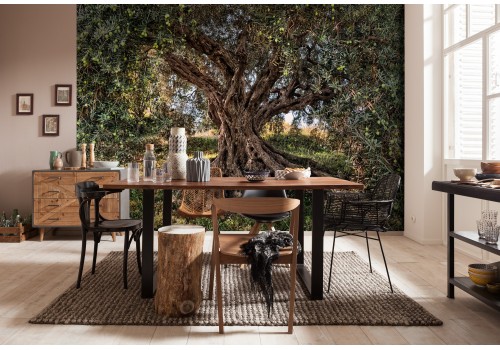 Olive Tree