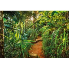 Jungle Trail
